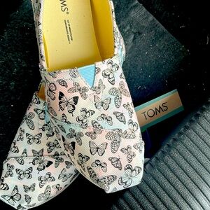 Toms butterfly